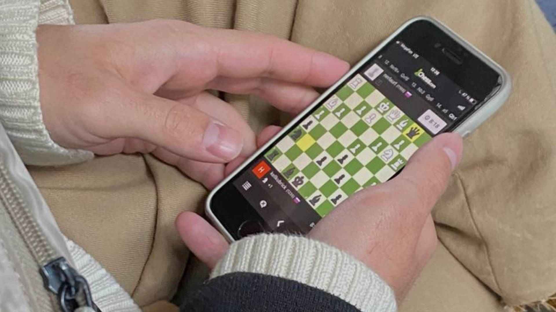 What Level Does Ekans Evolve In Pokemon Quest Complete Evolution Guide
